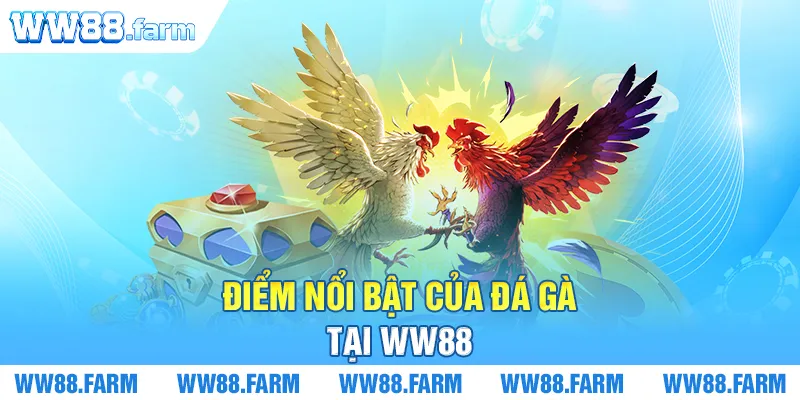 Điểm nổi bật của Đá Gà tại WW88