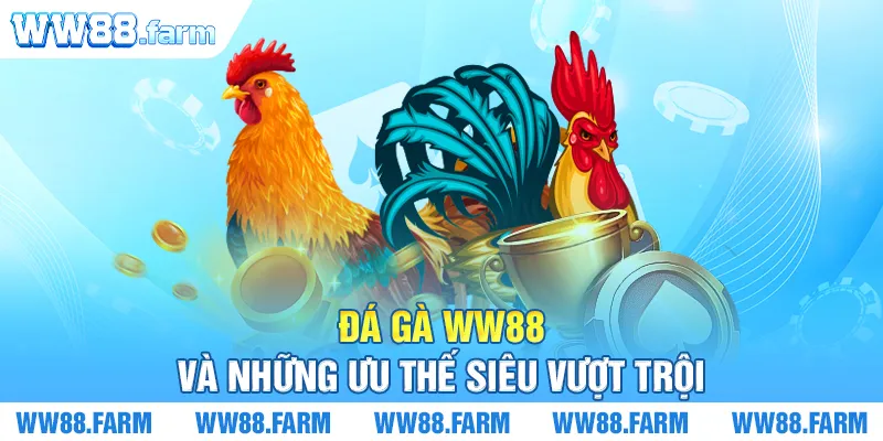 Đá Gà WW88 và những ưu thế siêu vượt trội